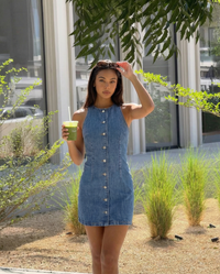 Tabitha | denim dress